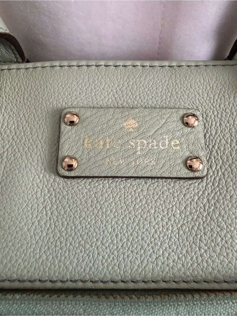 Kate Spade New York Mint Green/Blue Pebbled Leather Satchel Crossbody Purse